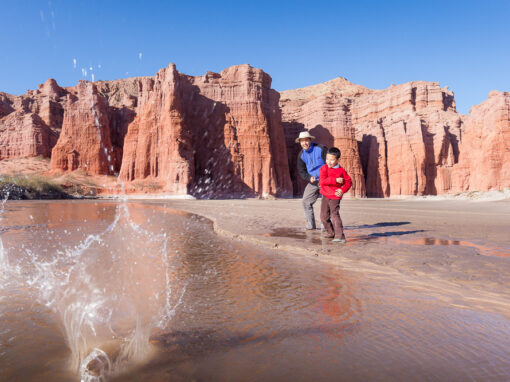Contrata tu Pack de 5 excursiones
