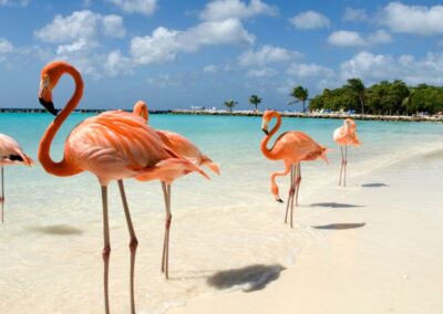 ARUBA – La isla feliz
